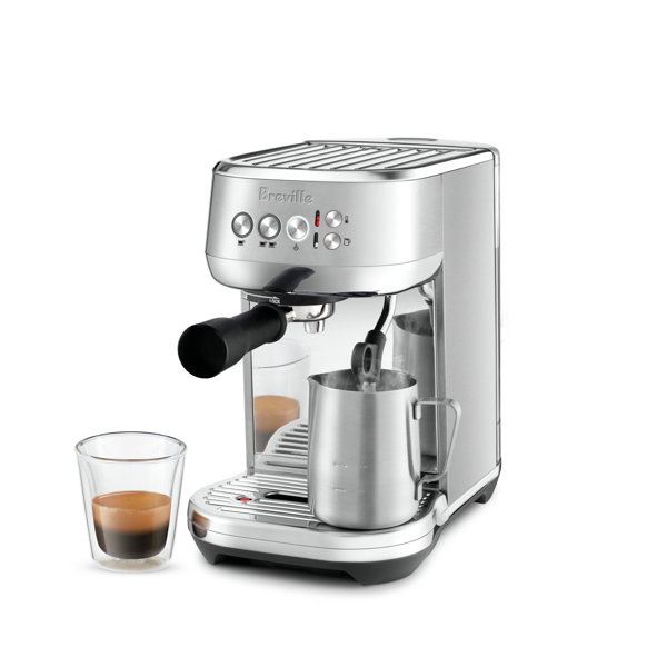 Breville the Bambino Plus™ Coffee & Espresso Maker & Reviews Perigold